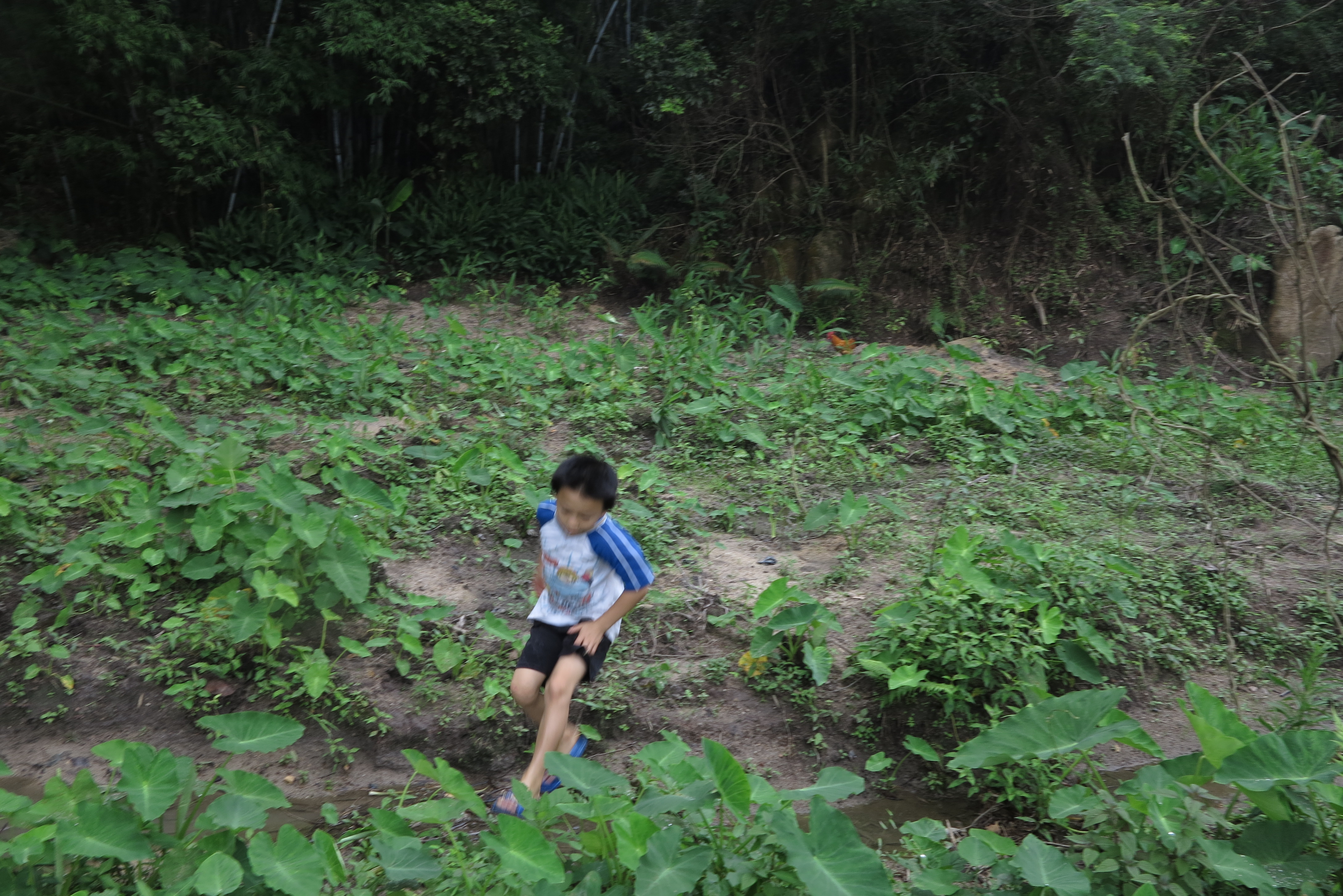 代耕农孩子在山坡