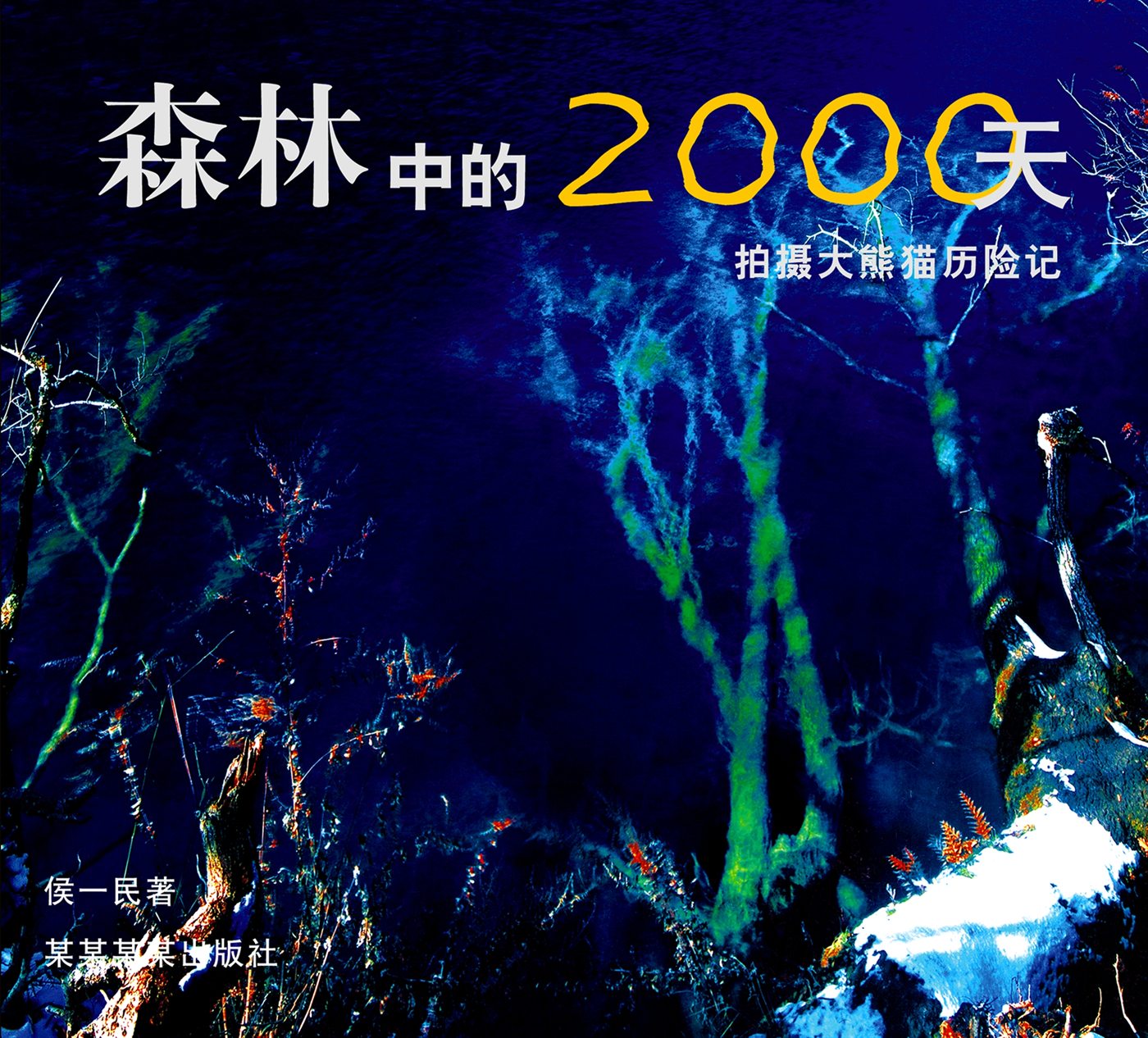 Public protected cover sample from 2000 Days in the Forest