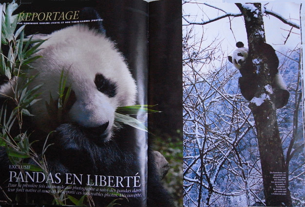 PANDAS EN LIBERTE 法国杂志跨页