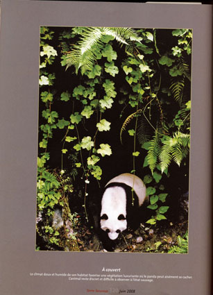TERRE SAUVAGE 杂志翻拍图 07