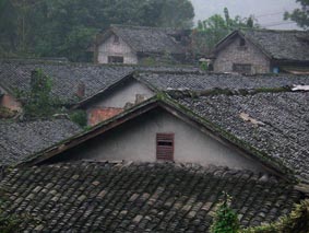 蒸汽小火车沿线乡村
