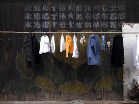 蒸汽小火车专题现场场景